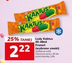 Hitpol Lody Kaktus oferta