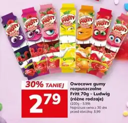 Hitpol Owocowe gumy rozpuszczalne Fritt oferta