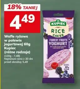 Hitpol Wafle ryżowe w polewie jogurtowej oferta