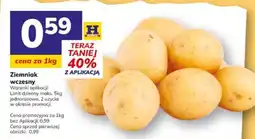 Hitpol Ziemniak wcześnie oferta
