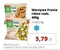 Torimpex Warzywa Frosta oferta