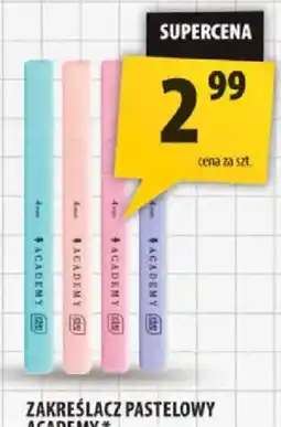 Arhelan Zakreślacz Pastelowy Academy oferta