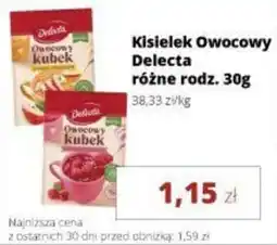 Torimpex Kisielek Owocowy Delecta oferta