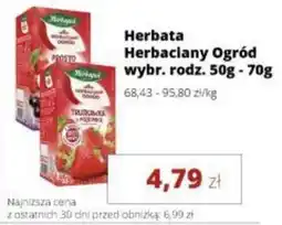 Torimpex Herbata Herbaciany Ogród oferta