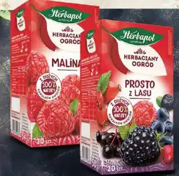 Arhelan Herbapol Herbaciany Ogrod Malina oferta