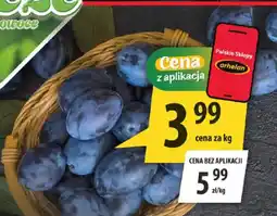 Arhelan Cena z aplikacją oferta