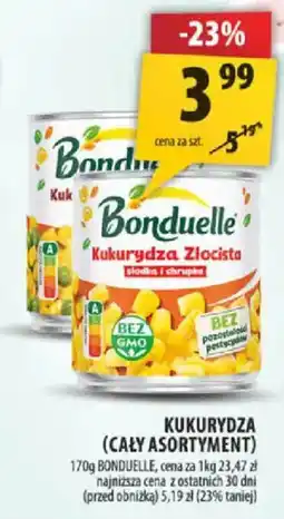 Arhelan Kukurydza Złocista oferta