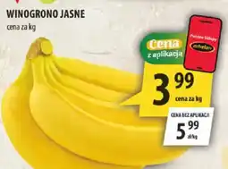 Arhelan Winogrono Jasne oferta