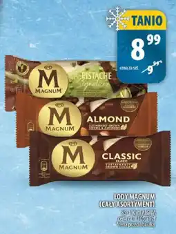 Arhelan Lody Magnum oferta