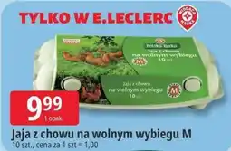 E.Leclerc Jaja z chowu na wolnym wybiegu M oferta