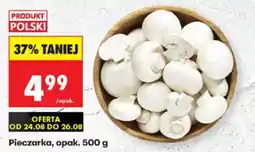 Biedronka Pieczarka oferta