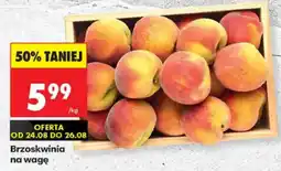 Biedronka Brzoskwinia oferta