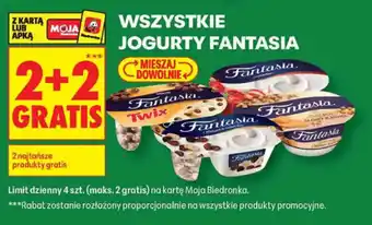 Biedronka Jogurty Fantasia oferta