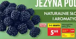 Biedronka Jeżyna polska, opak oferta