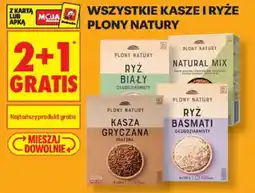 Biedronka Plony Natury oferta