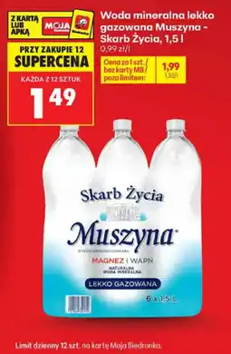 Biedronka Woda mineralna lekko gazowana Muszyna - Skarb Życia oferta