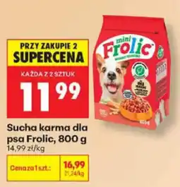 Biedronka Sucha karma dla psa Frolic oferta