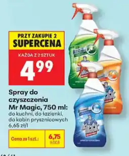 Biedronka Spray do czyszczenia Mr Magic oferta
