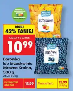 Biedronka Borówka lub brzoskwinia Mroźna Kraina oferta