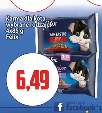 Karma dla kota Felix Junior