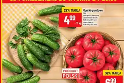 Polomarket Ogórki gruntowe oferta