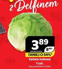 Delfin Sałata lodowa oferta