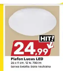 Bricomarche Plafon Lucas LED oferta