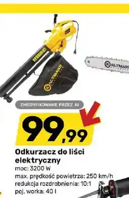 Bricomarche Odkurzacz do liści elektryczny oferta