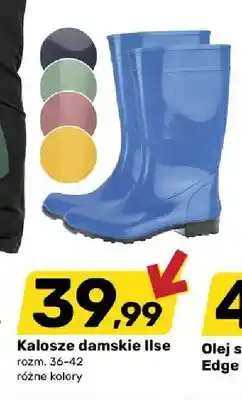 Bricomarche Kalosze damskie Ilse oferta