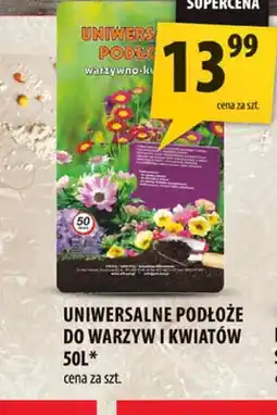 Arhelan Uniwersalne podłoże do warzyw i kwiatów oferta