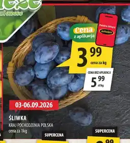 Arhelan Śliwka polska oferta