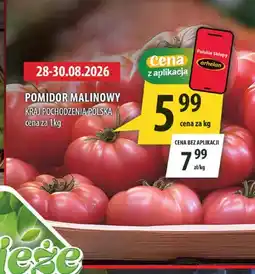 Arhelan Pomidor malinowy polski oferta