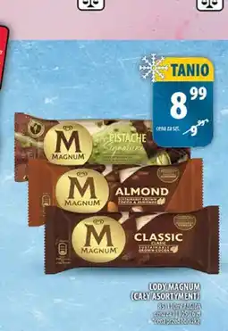 Arhelan Lody Magnum Algida oferta