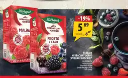Arhelan Herbata Herbaciany Ogród oferta