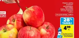 Carrefour Jabłka Carrefour oferta