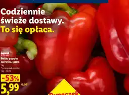 Lidl Papryka Polski oferta