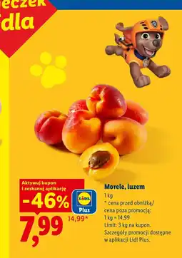 Lidl Morele oferta