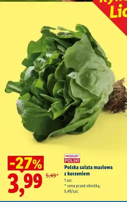 Lidl Sałata masłowa Polski oferta
