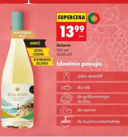 Biedronka Wino Solano oferta