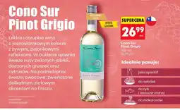 Biedronka Wino wytrawne Cono Sur oferta