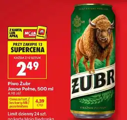 Biedronka Piwo Żubr oferta