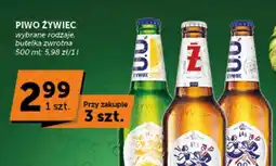 Groszek Piwo Żywiec oferta