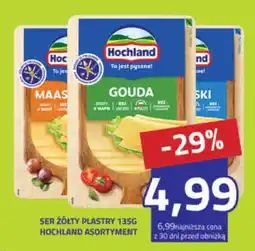 Hildebrandt Ser Żółty Plastry Hochland Asortyment oferta