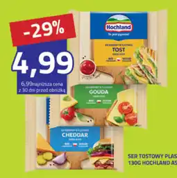 Hildebrandt Ser Tostowy Plast Hochland oferta