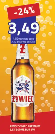 Hildebrandt Piwo Żywiec Premium oferta