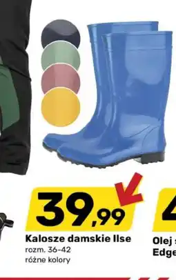 Bricomarche Kalosze oferta