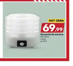 Bricomarche Suszarka do grzybów oferta