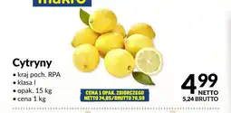 Makro Cytryny oferta