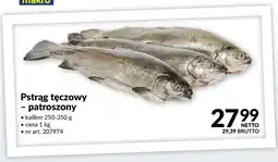 Makro Pstrąg tęczowy patroszony oferta