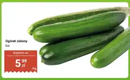 Dino Ogórki zielone oferta
